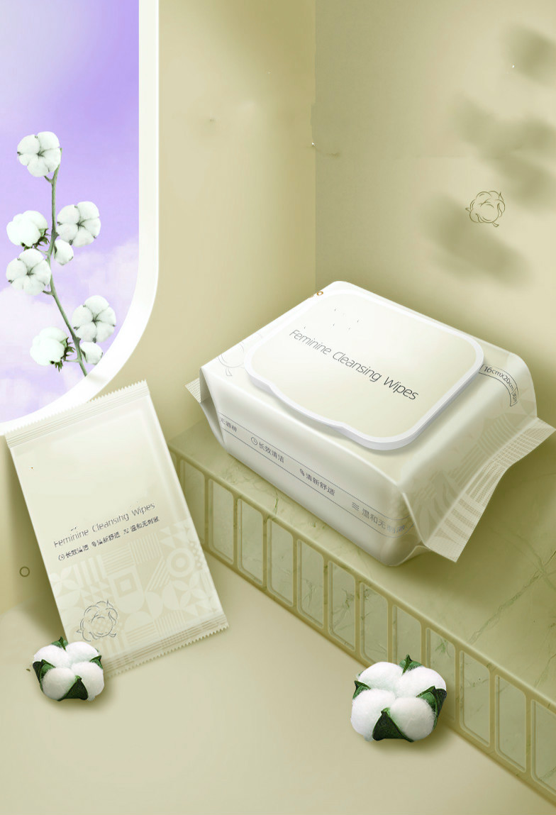 Earth Friendly Feminine Wipes PH Balanced Unscented Toilet Wet Wipe